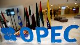 В ОПЕК подчеркнули важность России как мирового поставщика энергоресурсов