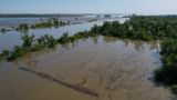 Каховское водохранилище через год после подрыва дамбы заросло травой — видео