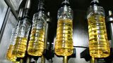 Российское подсолнечное масло очень популярно в Китае — эксперт Гольцова